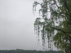 -浙江省博物馆(孤山馆区)
