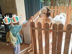 -三亚亚龙湾人间天堂鸟巢度假村