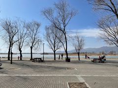 -野鸭湖国家湿地公园