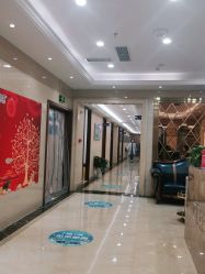 -碧莲盛·不剃发植发