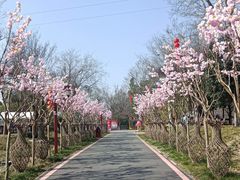 -武汉紫薇都市田园