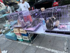 -华声天桥民俗文化园