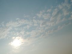 -鱼珠码头(轮渡站)