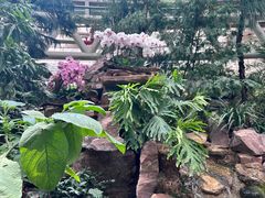 -石家庄市植物园
