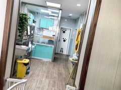 -中农大我爱我爱24h动物医院·中医针灸·猫专科·骨科医疗中心(双井店)
