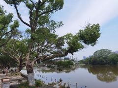 -江心屿景区