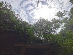 -南海湾森林生态园