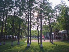 -上海美帆帆船露营基地