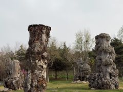 -烟台自然博物馆