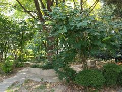 小区环境-东苑半岛花园