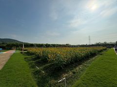 -盈香心动乐园