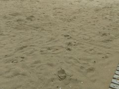 -汕头中海黄金海岸水上乐园