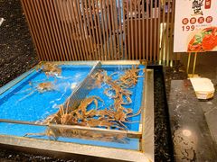 水产区-蟹将军·松叶蟹和牛日料放题自助(K11店)