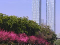 -望江楼公园