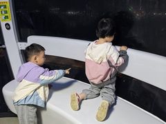 -海合安武汉极地海洋公园