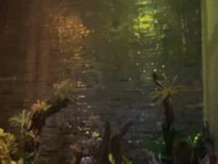 -泰适SPA馆丨精油·按摩·足道(后海地铁口店)