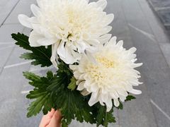 -侵华日军南京大屠杀遇难同胞纪念馆