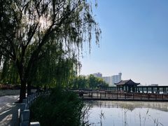 -莲花池公园