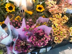 -盒马鲜生(十里堡店)