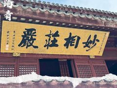 -上海东林寺(金山区)