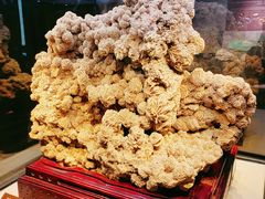 -正佳自然科学博物馆