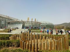 -北京植物园-展览温室