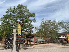 -大槐树寻根祭祖园