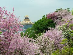 -柳侯公园
