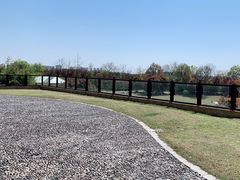 -徐州绿地皇冠假日酒店-汉宫中餐厅