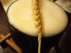 -Catail前苑(前门大街店)