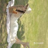 电影《情人》的女主角既视感
