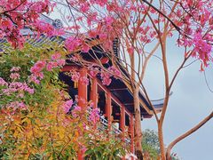 -顺峰山公园