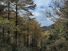 -四明山国家森林公园