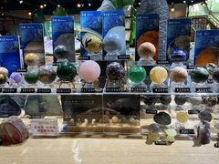 -Behring World of Animals(上海自然博物馆店)