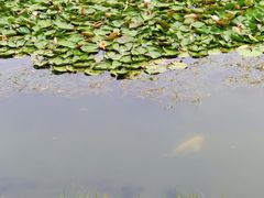 -宝岛公园