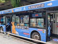 -帕帕拉兹宠物(亚洲旗舰店)