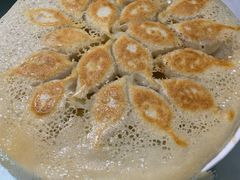 西红柿饺子-好妈王饺子(滂江街店)