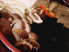 -食鲜捞火锅(湖西路店)