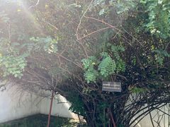 -北京鲁迅博物馆(北京新文化运动纪念馆鲁博馆区)