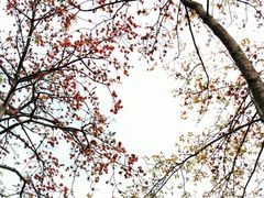 -晓港公园