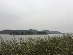 -东湖落雁景区