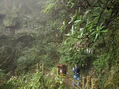 -莫干山风景区