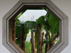 -海珠湖公园