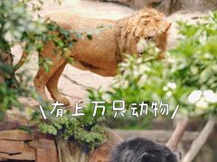 -长鹿旅游休博园