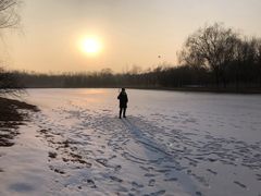 -大兴滨河森林公园