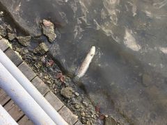 -美兰湖景区