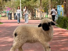 -水上乐园·欢乐世界