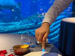 -OSSIANO奥西亚诺海底餐厅