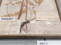 -四川大学博物馆