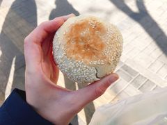-老回回饺子馆(海洋馆店)
